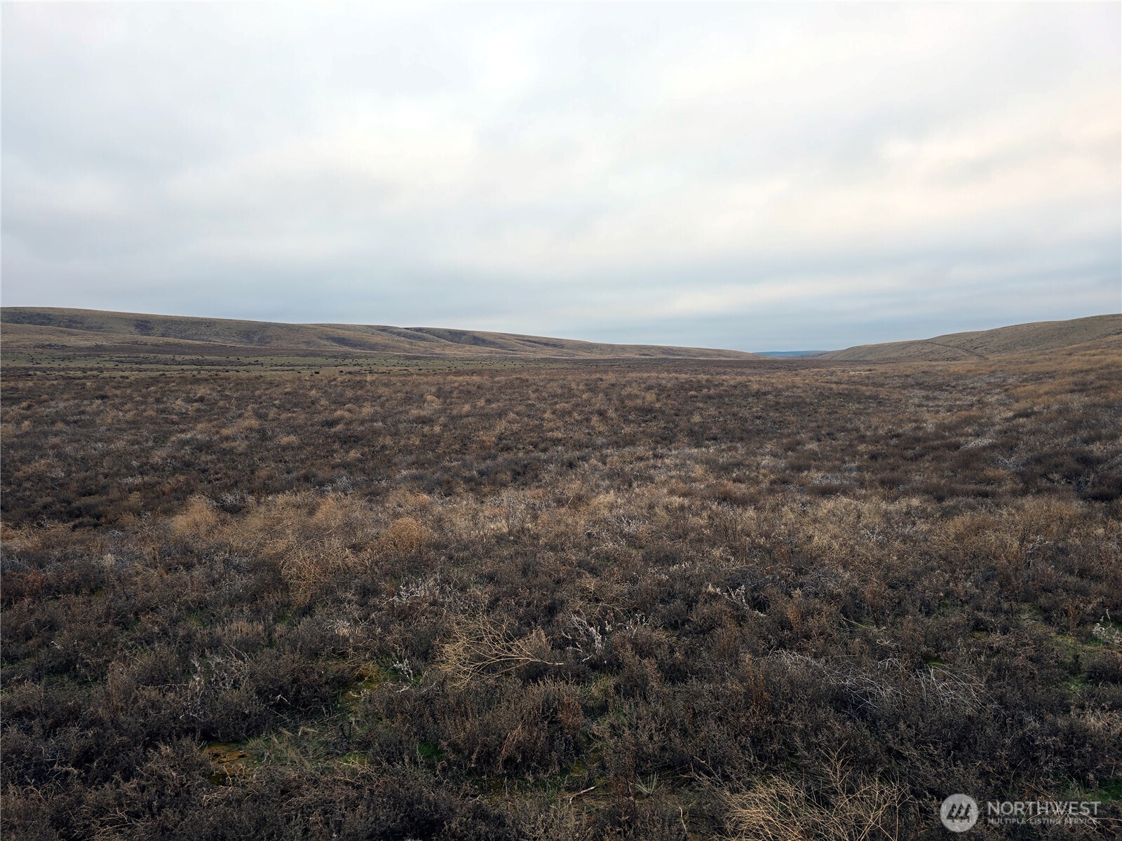 4200 Wadsworth Road Washtucna, WA 99371 - Photo 25 of 28