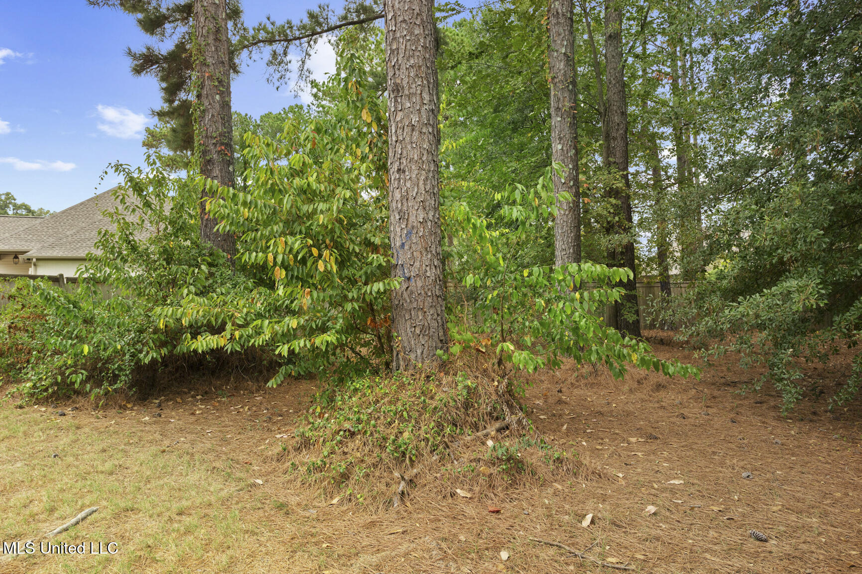 126 Grayhawk Parkway Madison, MS 39110 - Photo 43 of 50 126 Grayhawk pkwy-42