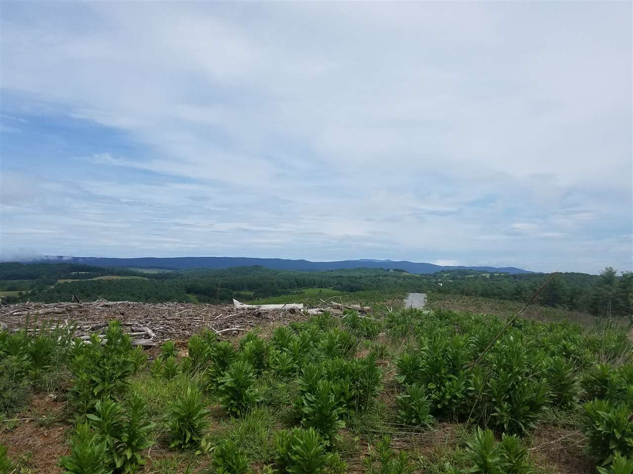 T B D Dutch Hollow Road Middlebrook, VA 24459 - Photo 4 of 22 a view of a lake with a big yard