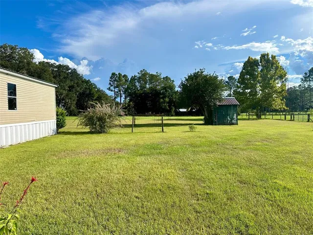 a view of a yard with a tree