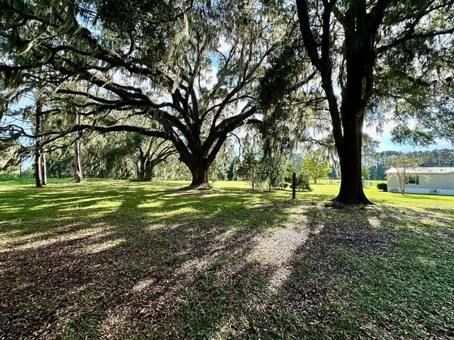 a view of a park with a big yard