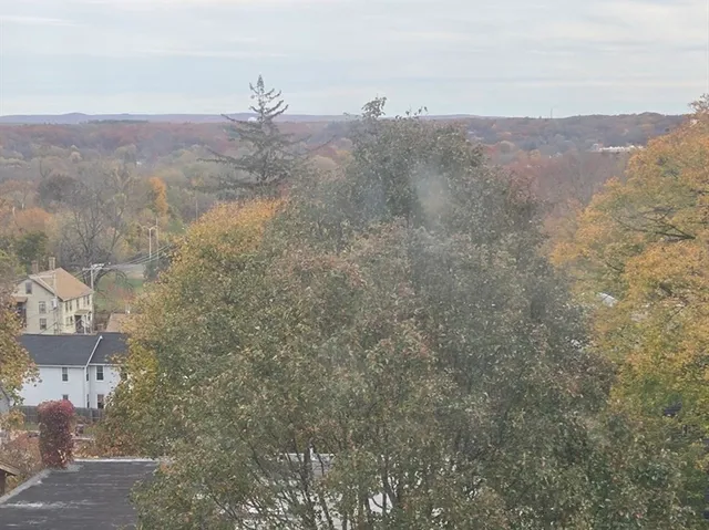 a view of a dry yard with mountains in the background