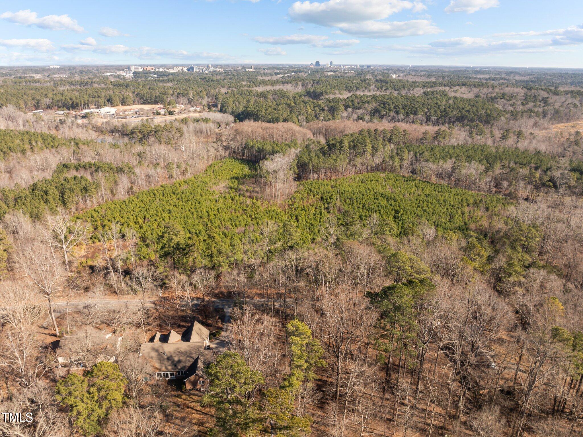 3207 West Cornwallis Road Durham, NC 27705 - Photo 11 of 11 a view of a city
