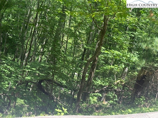 Deerwood Road, Unit 58 Piney Creek, NC 28663 - Photo 2 of 5 a view of a lush green forest
