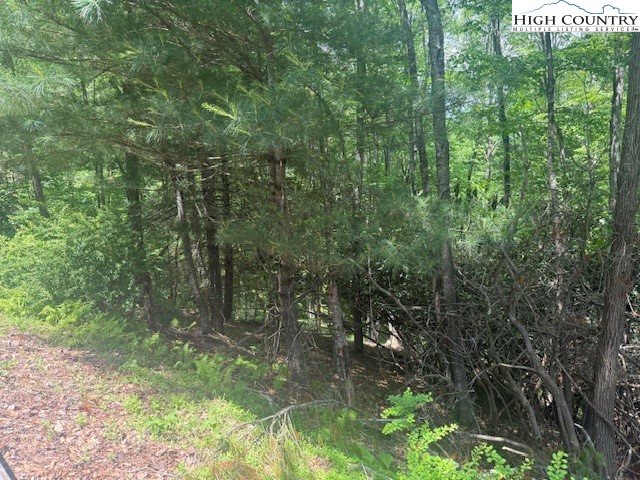 Deerwood Road, Unit 58 Piney Creek, NC 28663 - Photo 4 of 5 a view of a forest