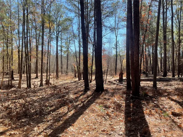 a view of a backyard with large trees and wooden fence