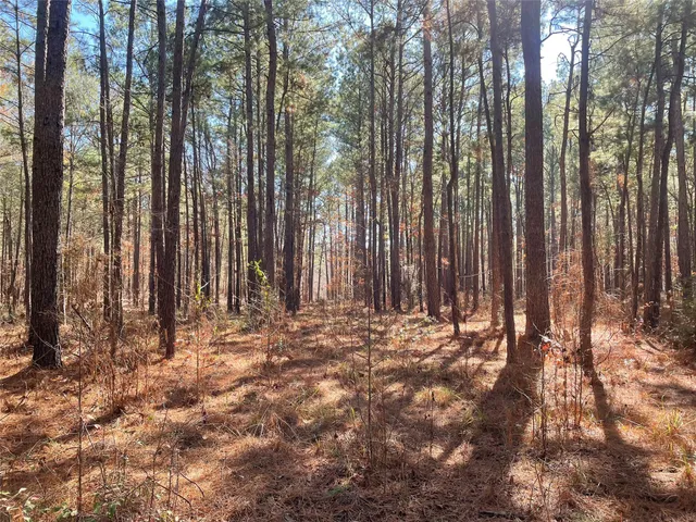 a view of wooden fence with trees