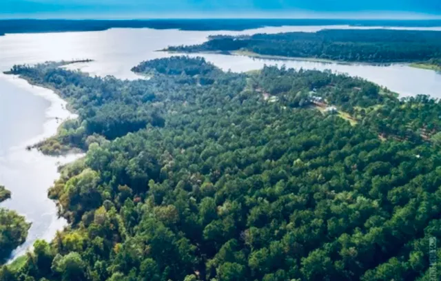 a view of a lake in middle of forest