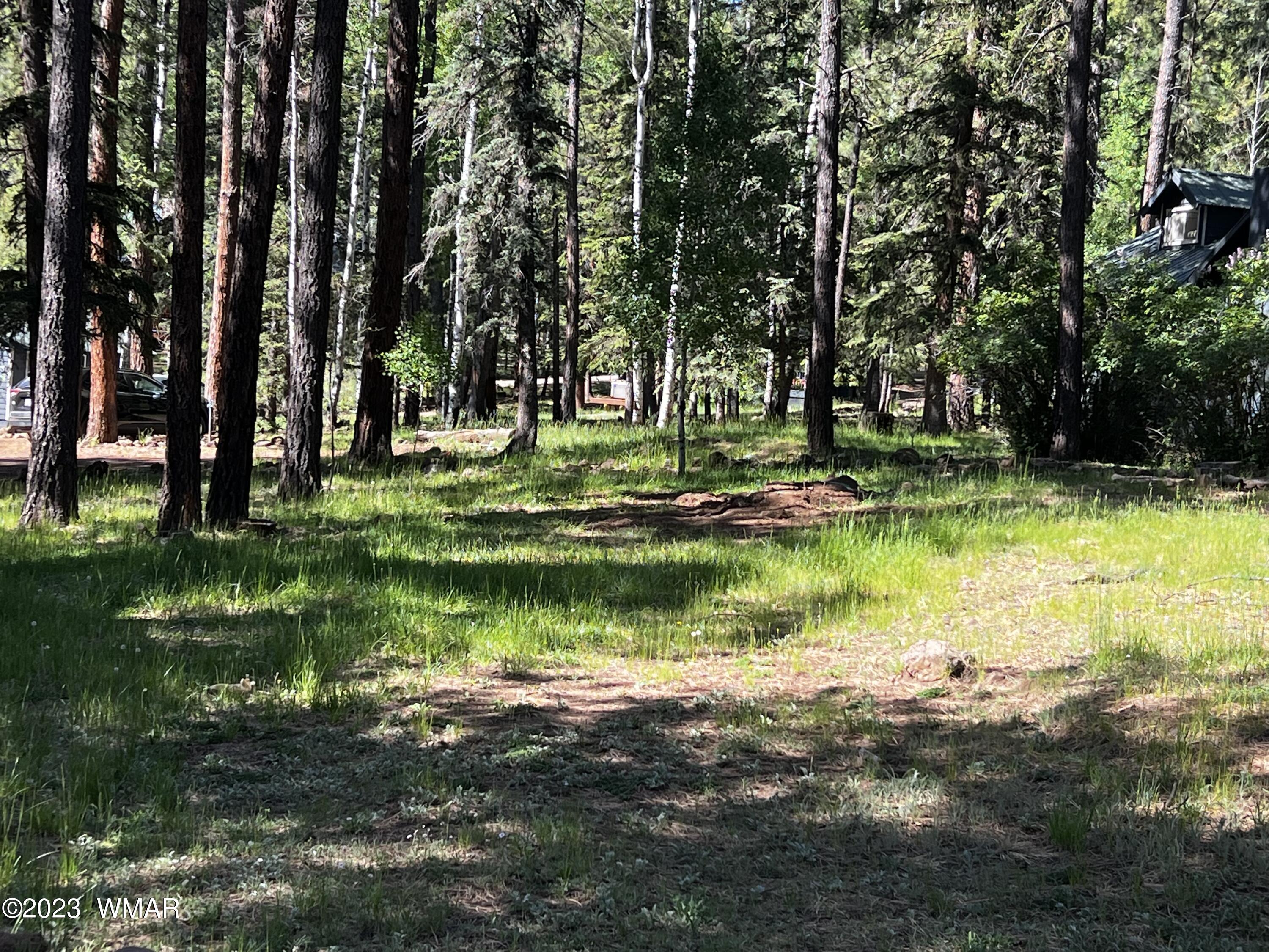6 Co Road, Unit 3 Springerville, AZ 85938 - Photo 12 of 14