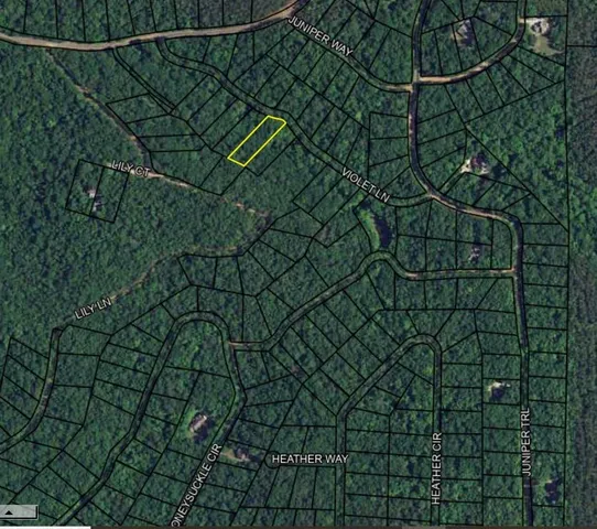 a bathroom with a shower curtain