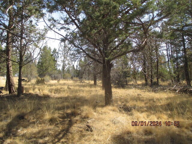 Lot 16 South Packsaddle Circle Beatty, OR 97621 - Photo 9 of 10 IMG_7665
