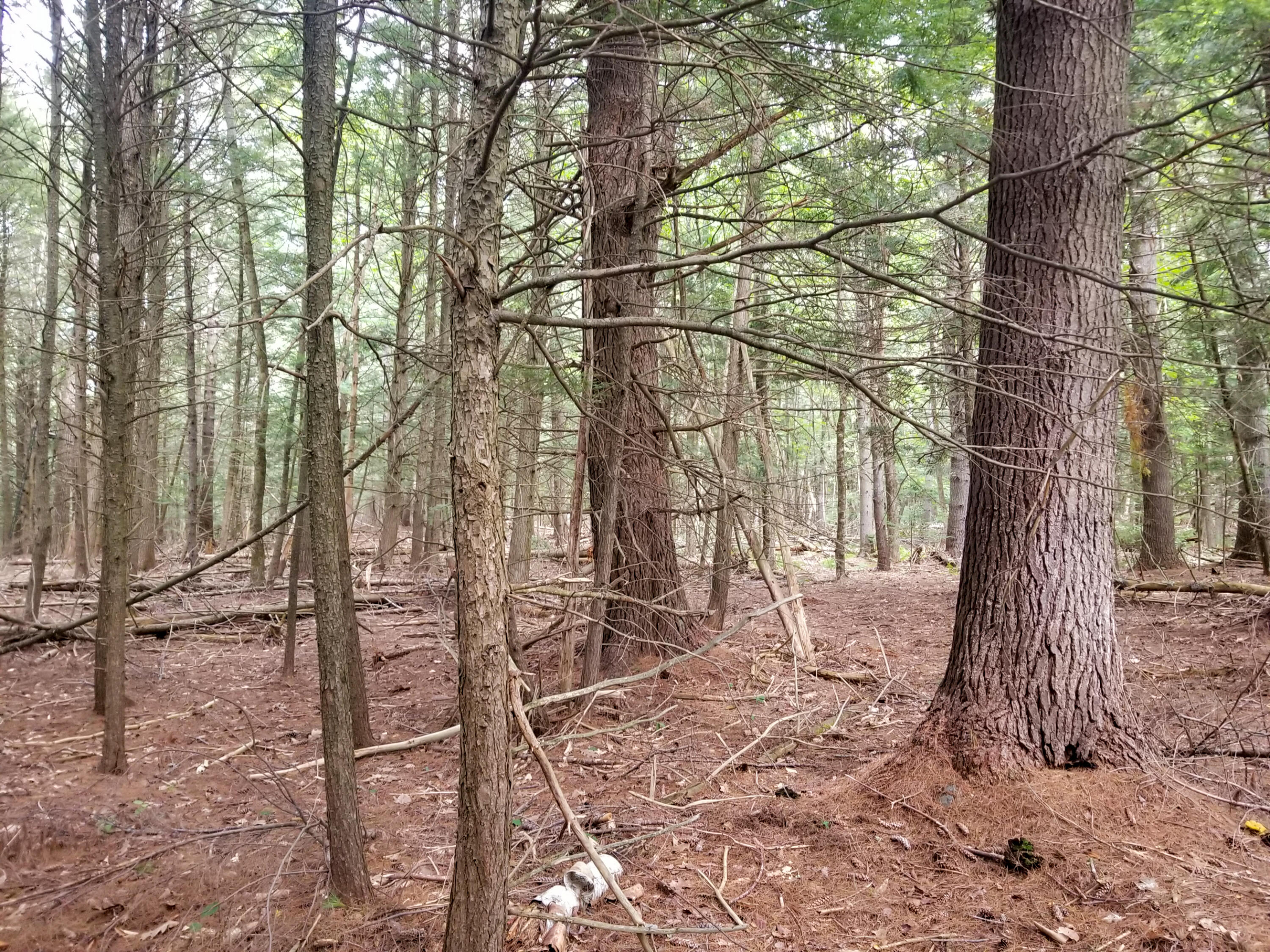 42 Mitchell Road Troy, ME 04987 - Photo 10 of 104 010