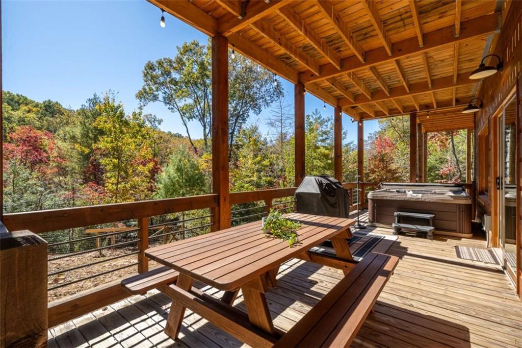 10 Cohutta Overlook Lane Blue Ridge, GA 30513 - Photo 46 of 58