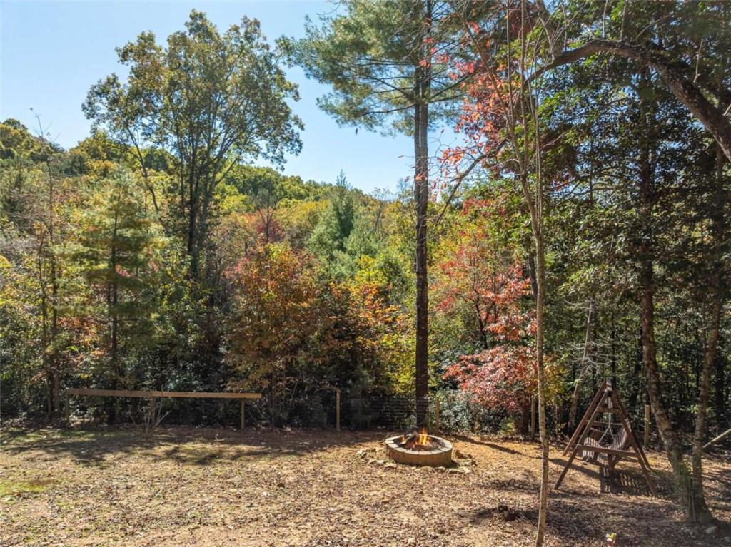 10 Cohutta Overlook Lane Blue Ridge, GA 30513 - Photo 51 of 58