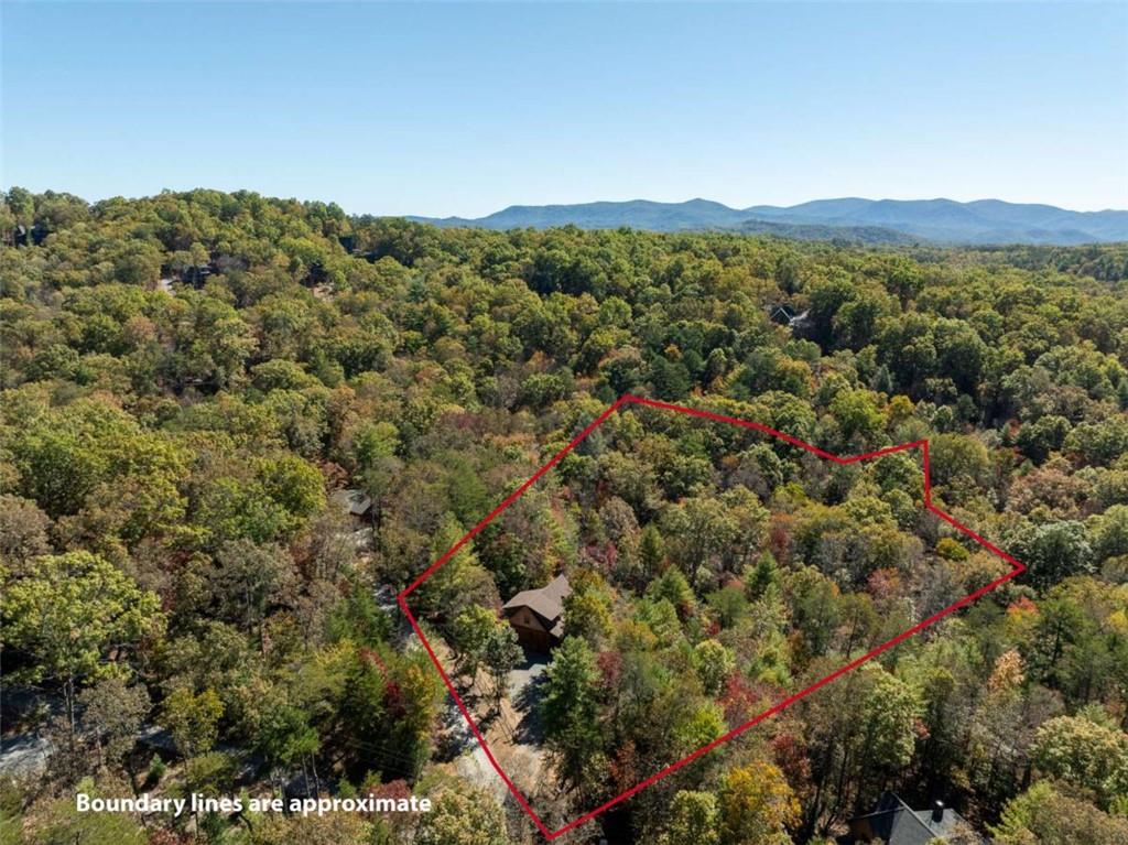 10 Cohutta Overlook Lane Blue Ridge, GA 30513 - Photo 54 of 58