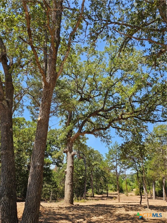 0 Agget Road Smithville, TX 78957 - Photo 1 of 1 Gallery Image 1
