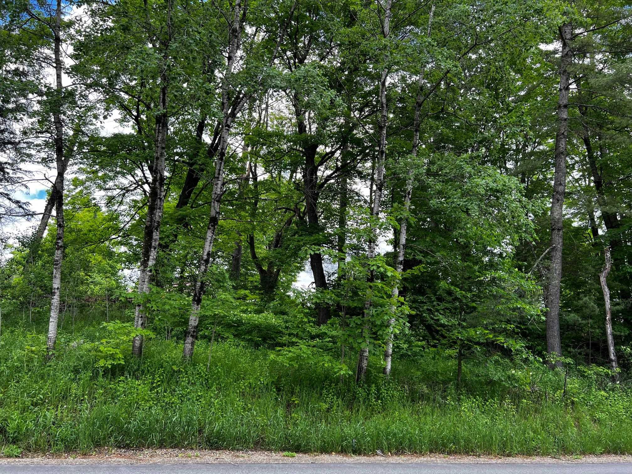 2554 Calendar Brook Road Sutton, VT 05851 - Photo 2 of 3 Gallery Image 2