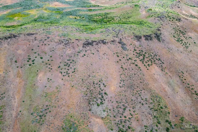 $250,000 | Tbd Goodrich Road, Council, ID 83612