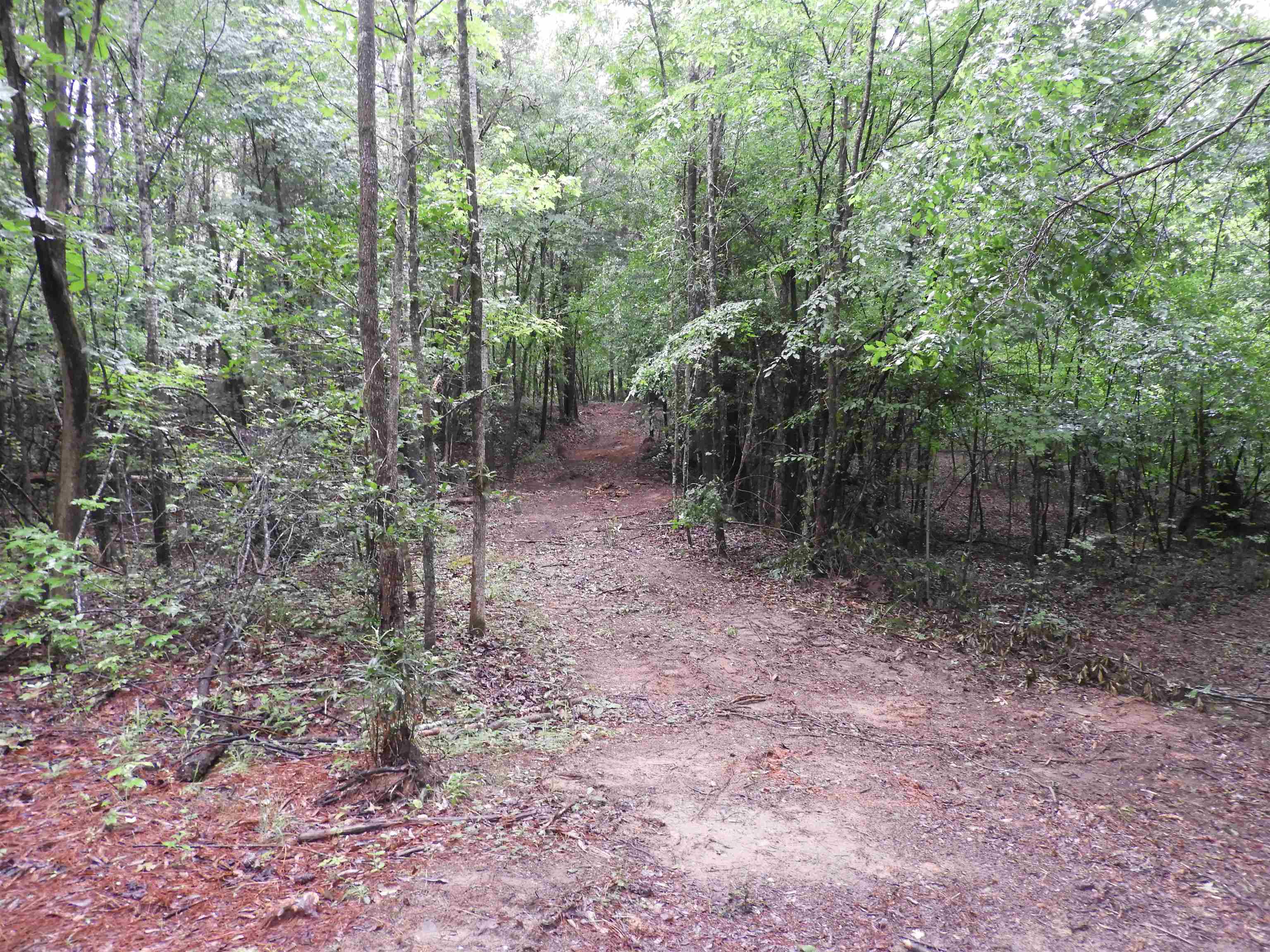 2109-tract D 2109-tract D Riddle Road Pauline, SC 29374 - Photo 5 of 42