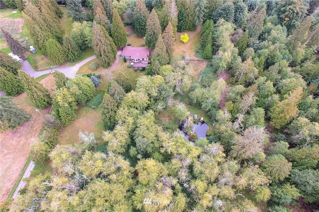 20109 Southeast 142nd Street Renton, WA 98059 - Photo 26 of 39 a view of a house with a tree