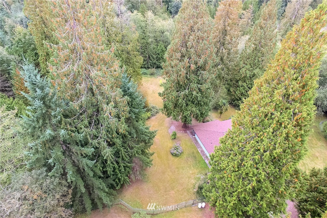 20109 Southeast 142nd Street Renton, WA 98059 - Photo 29 of 39 a view of a tree with a tree
