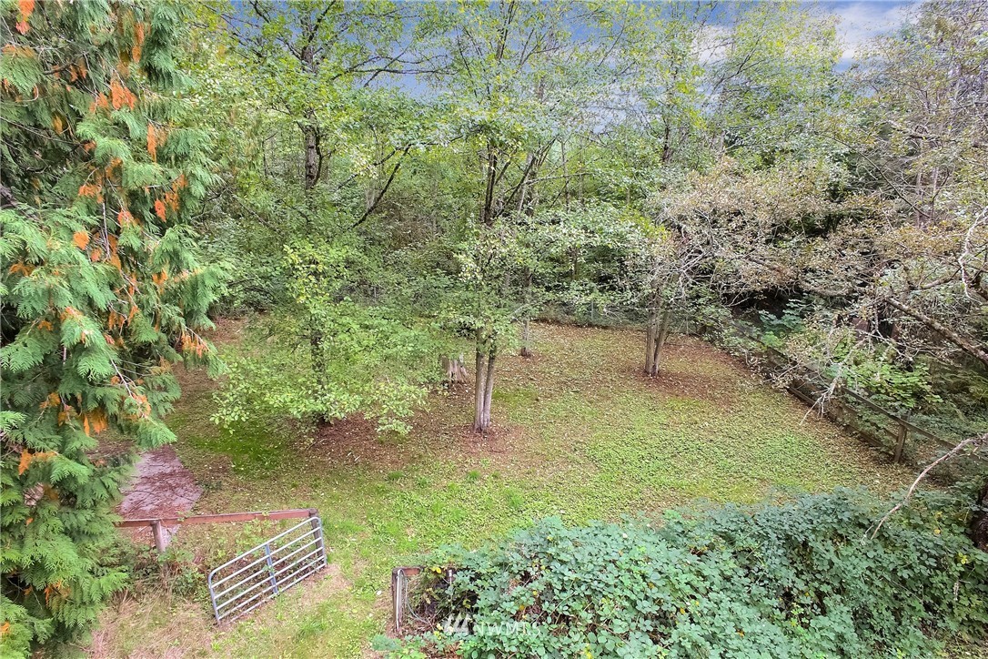 20109 Southeast 142nd Street Renton, WA 98059 - Photo 32 of 39 a view of a garden with a bench