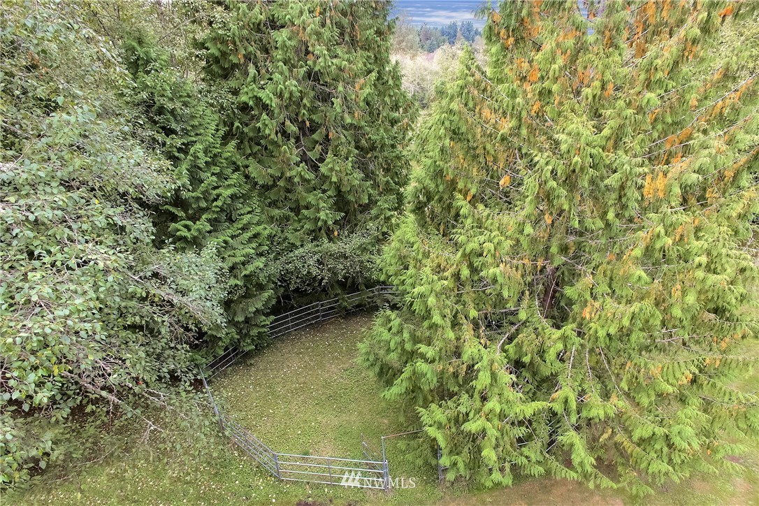 20109 Southeast 142nd Street Renton, WA 98059 - Photo 33 of 39 a view of a yard with a tree
