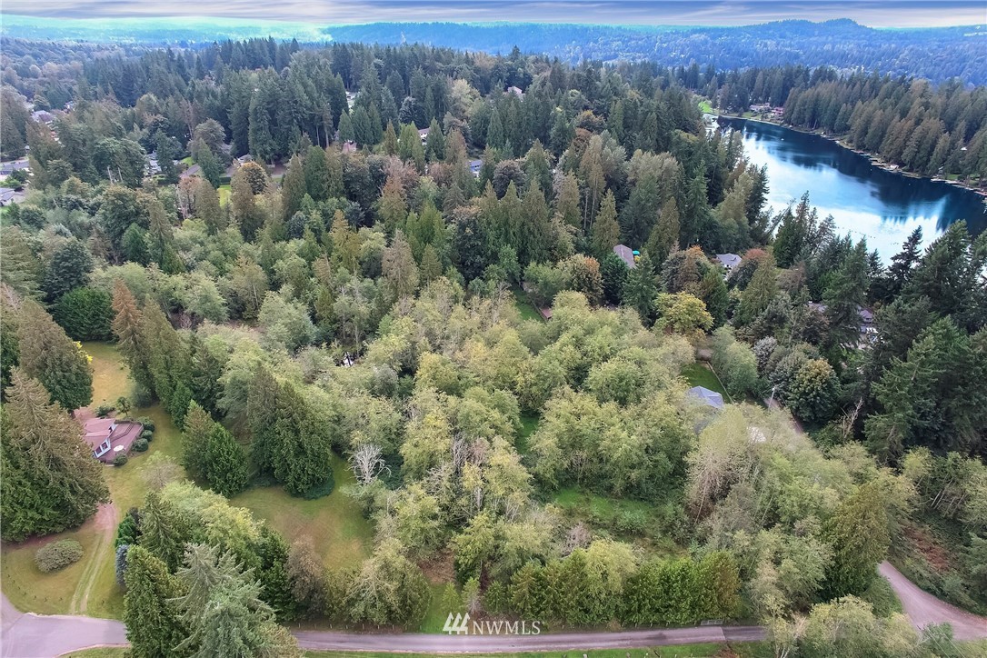 20109 Southeast 142nd Street Renton, WA 98059 - Photo 36 of 39 an aerial view of residential house with outdoor space and trees all around