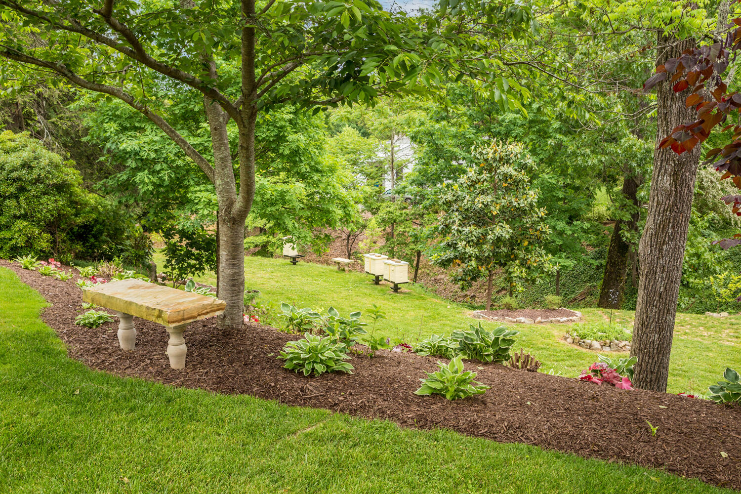 1117 East Dallas Road Chattanooga, TN 37405 - Photo 5 of 46 1117_E_Dallas_Rd_005