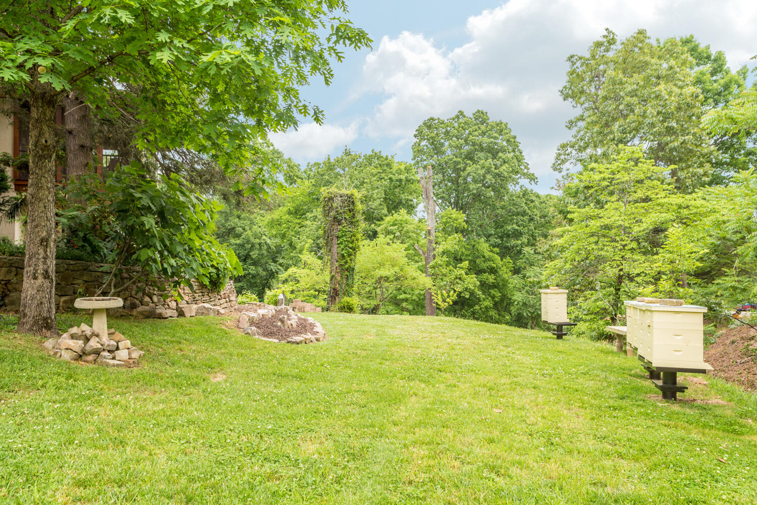1117 East Dallas Road Chattanooga, TN 37405 - Photo 8 of 46 1117_E_Dallas_Rd_008