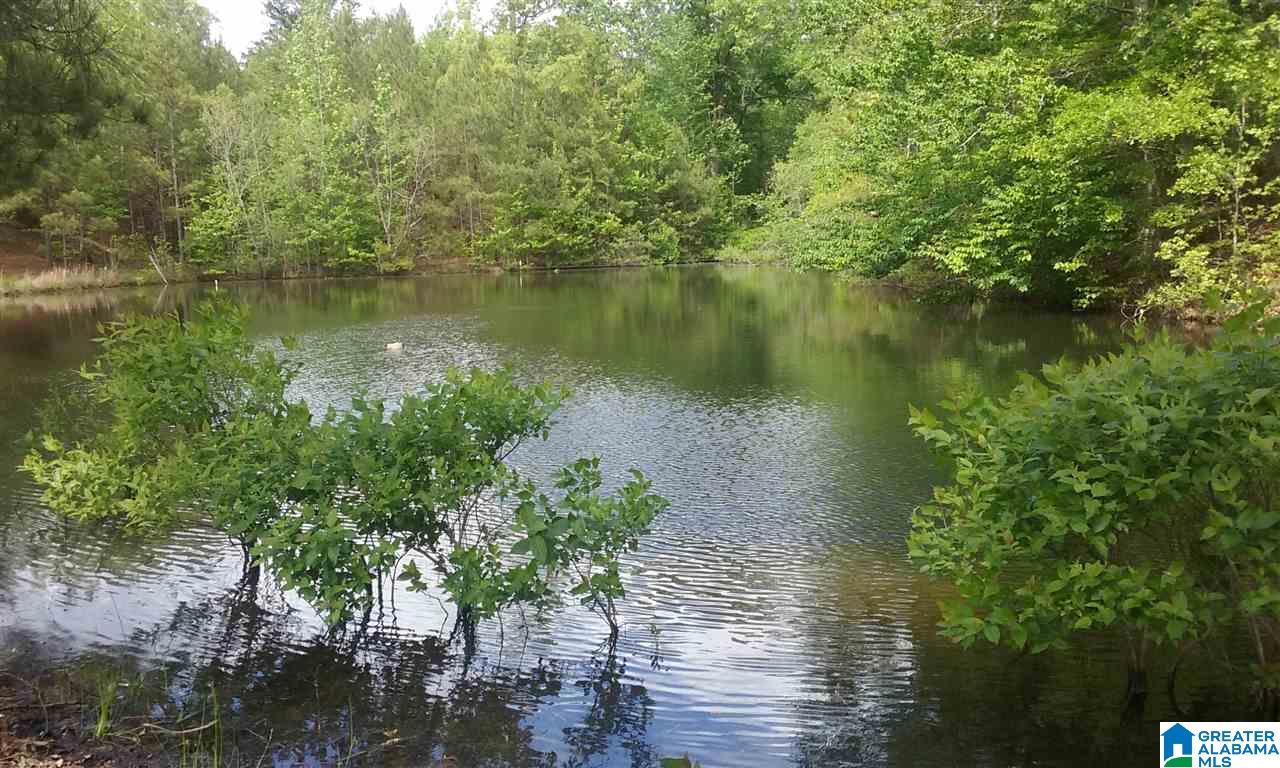 Old Jackson Road, Unit LEGAL Centreville, AL 35042 - Photo 8 of 11