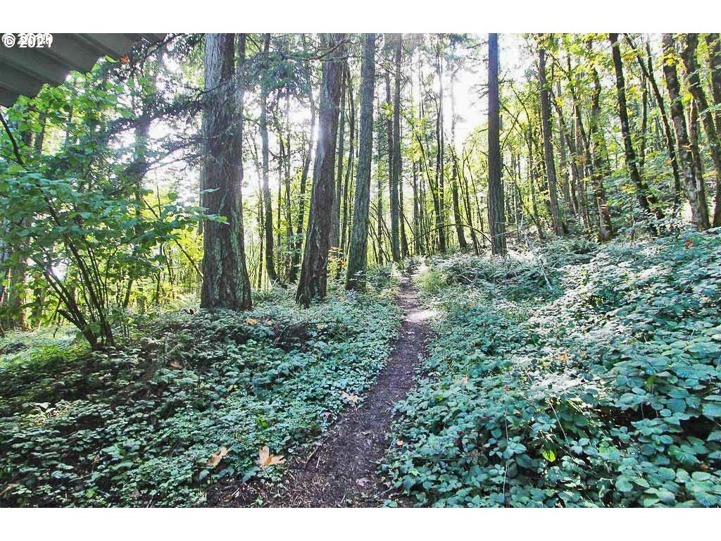 122 Treehill Loop Eugene, OR 97405 - Photo 28 of 29 Gallery Image 28