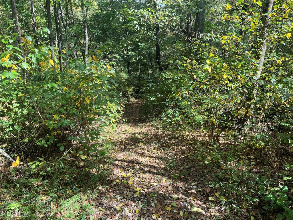 71330 Old Twenty One Road Kimbolton, OH 43749 - Photo 22 of 49