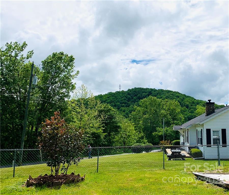 316 Bee Tree Road Swannanoa, NC 28778 - Photo 22 of 24 Gallery Image 22