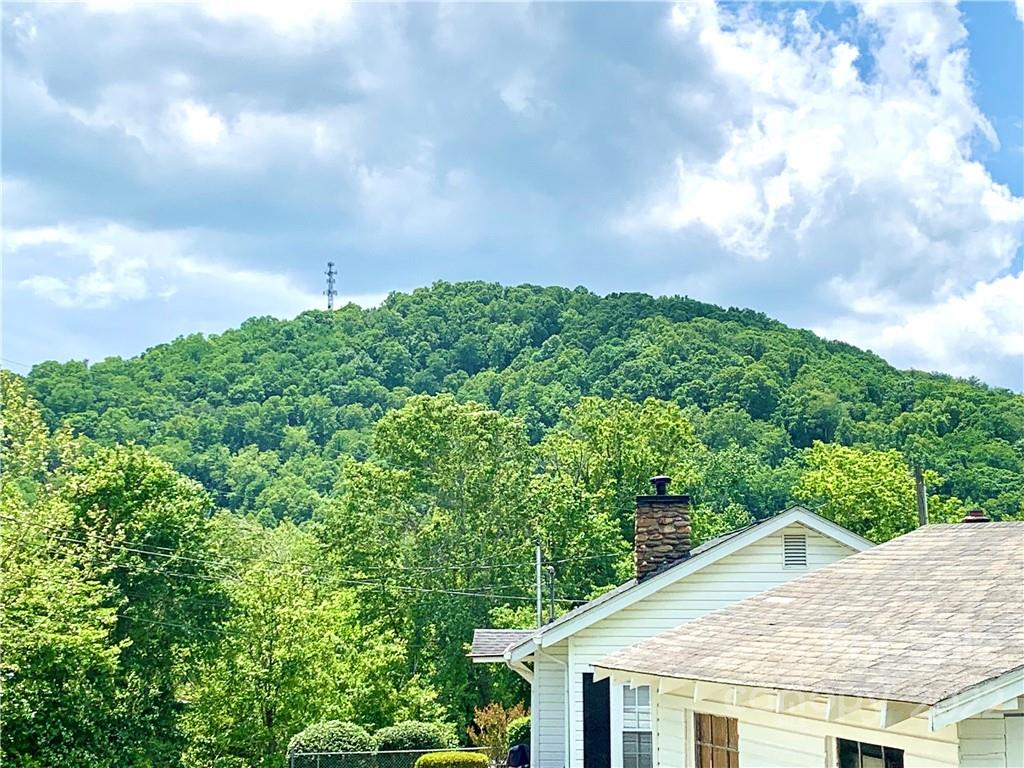 316 Bee Tree Road Swannanoa, NC 28778 - Photo 23 of 24 Gallery Image 23
