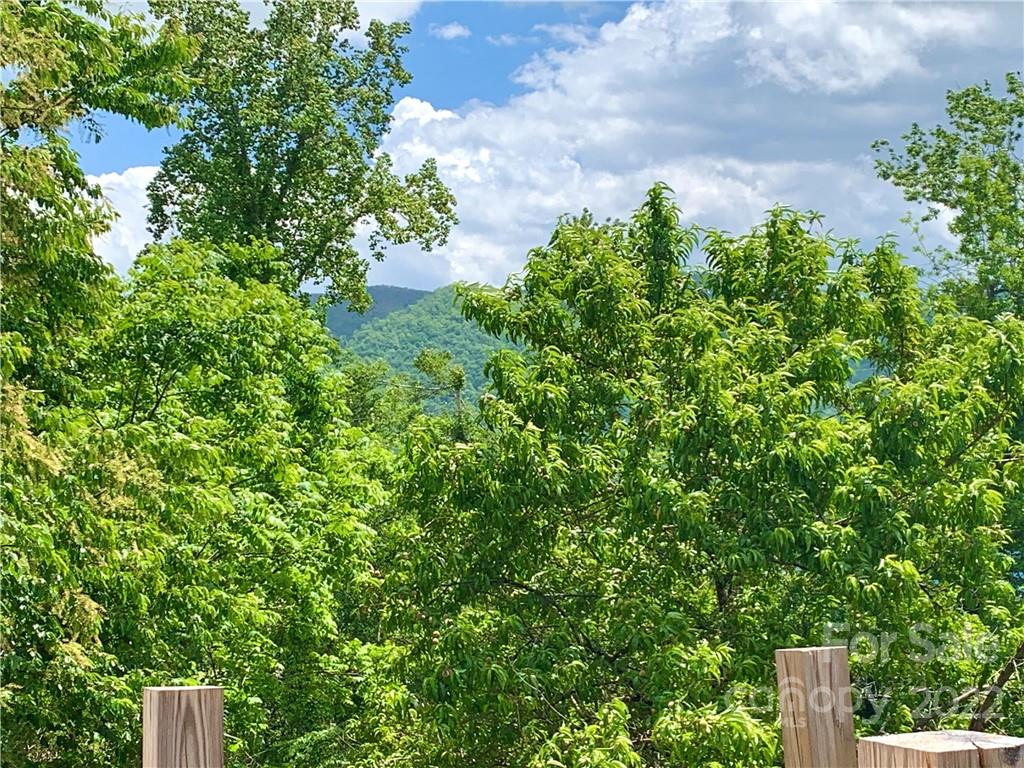 316 Bee Tree Road Swannanoa, NC 28778 - Photo 24 of 24 Gallery Image 24