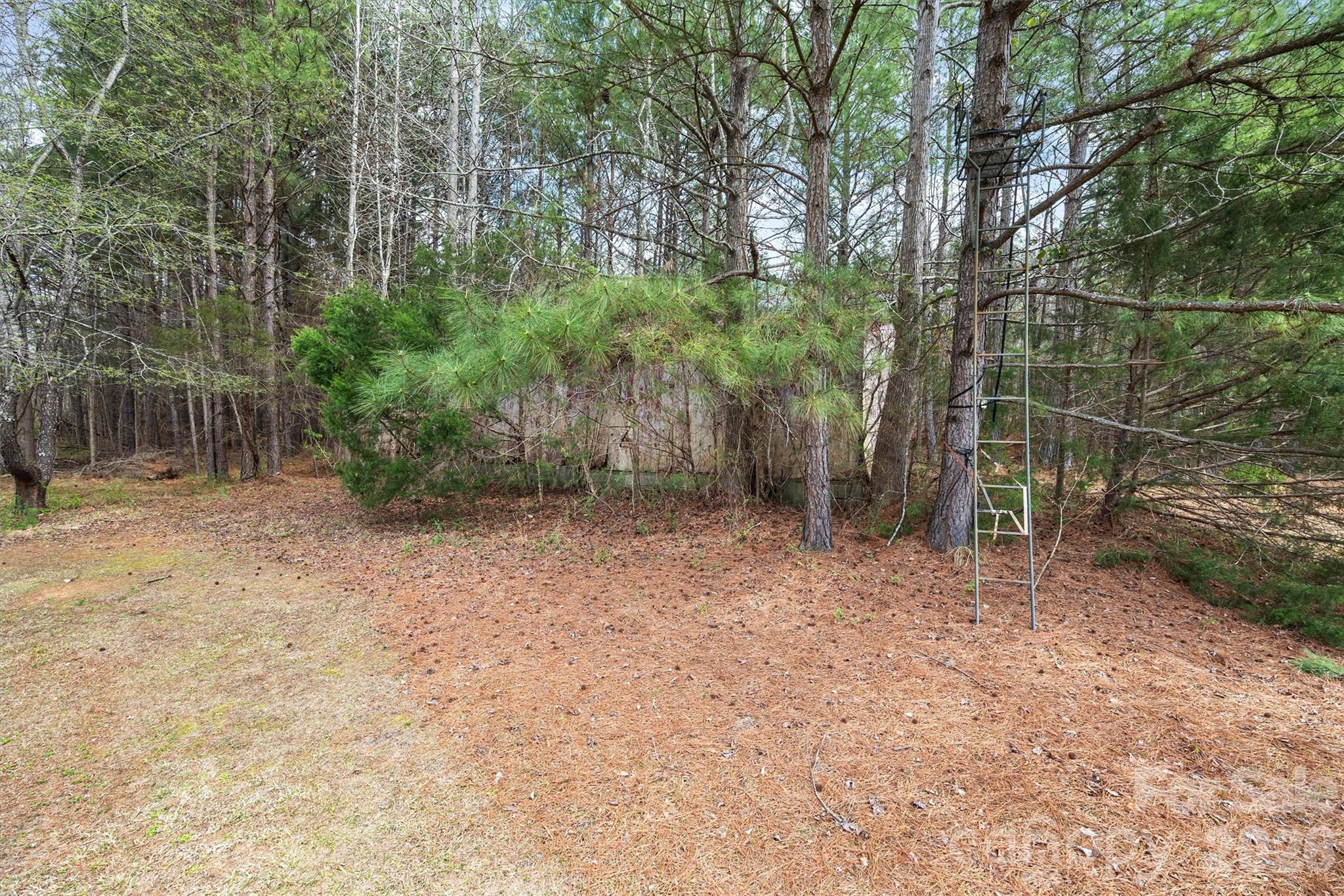 219 Nottingham Street York, SC 29745 - Photo 28 of 38 a view of backyard with green space