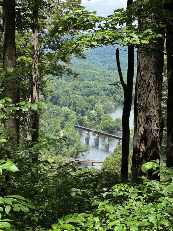 842 Anderson Street Confluence, PA 15424 - Photo 43 of 43 a view of a garden with plants