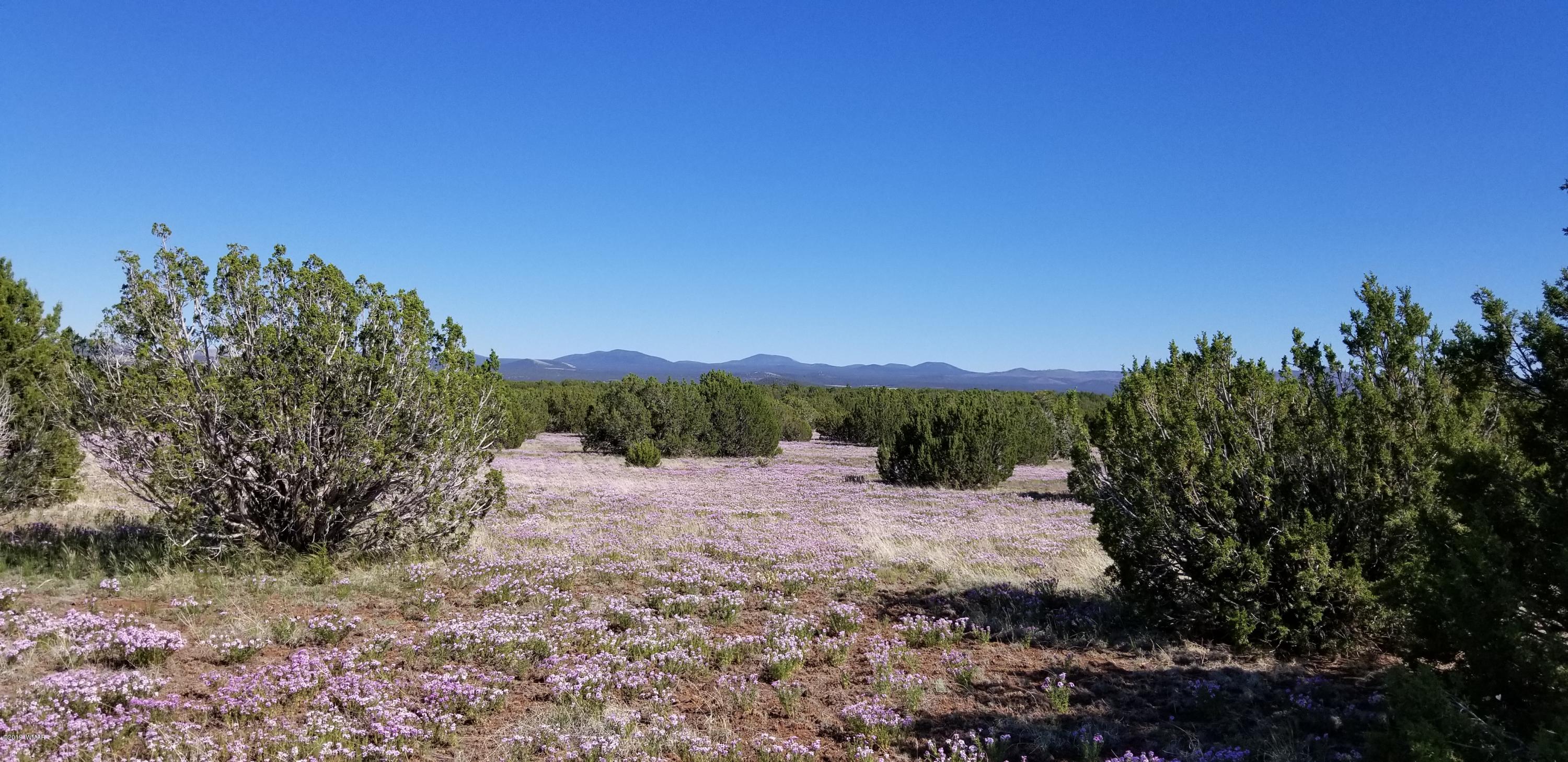 4 Southeast Sw 4 Section 4 T10n R25e Eagar, AZ 85925 - Photo 11 of 33
