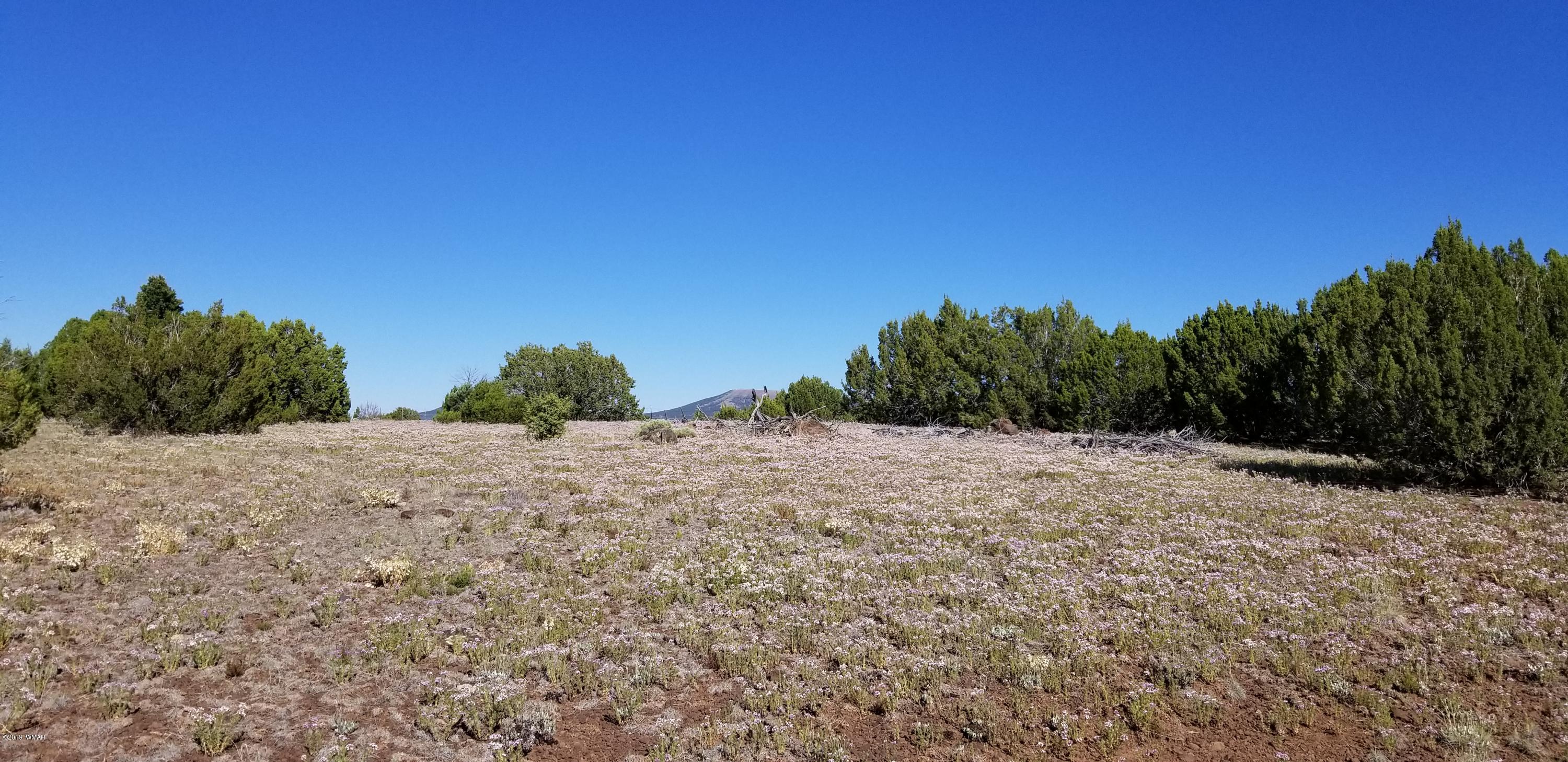 4 Southeast Sw 4 Section 4 T10n R25e Eagar, AZ 85925 - Photo 17 of 33