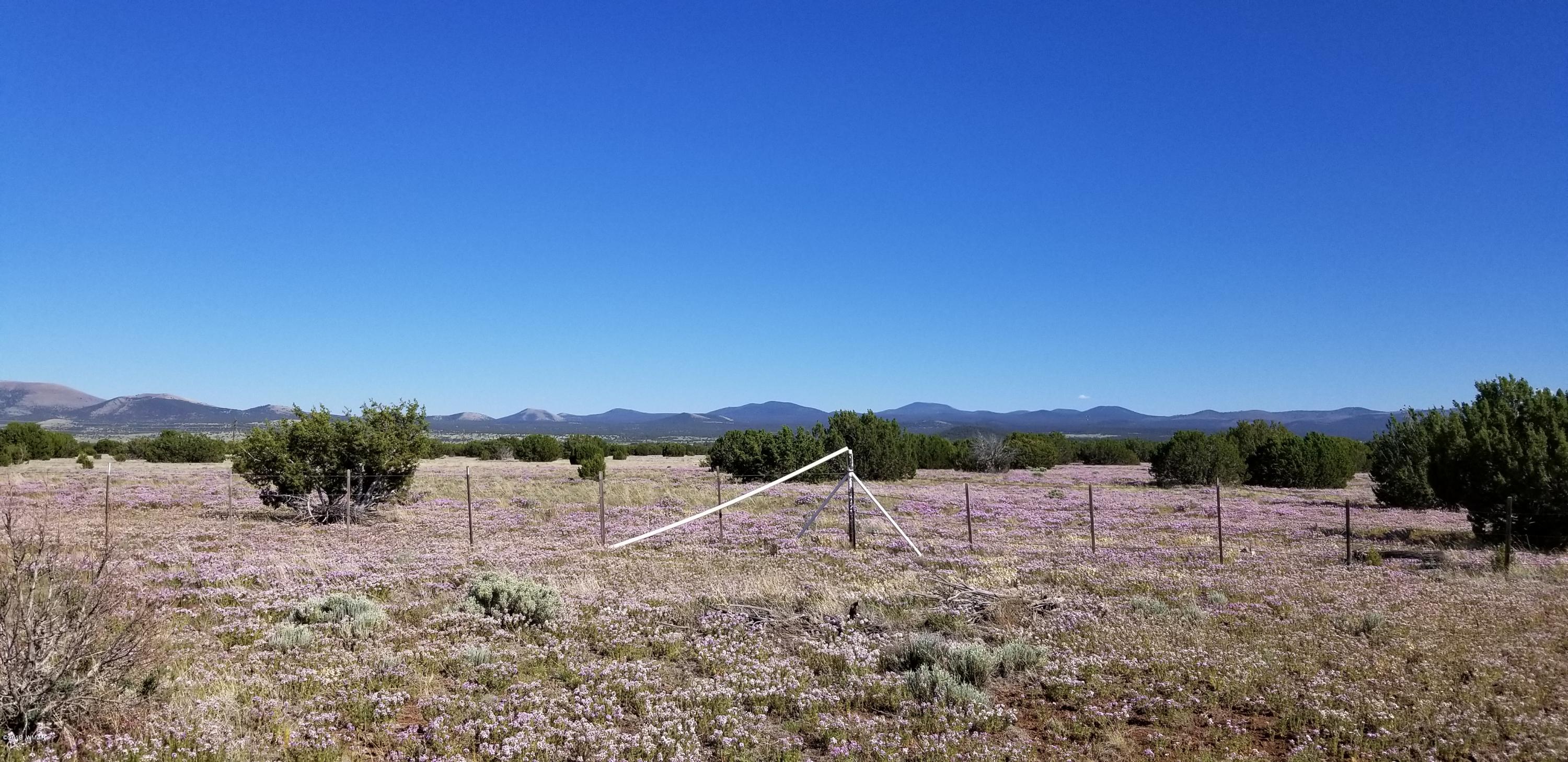 4 Southeast Sw 4 Section 4 T10n R25e Eagar, AZ 85925 - Photo 21 of 33