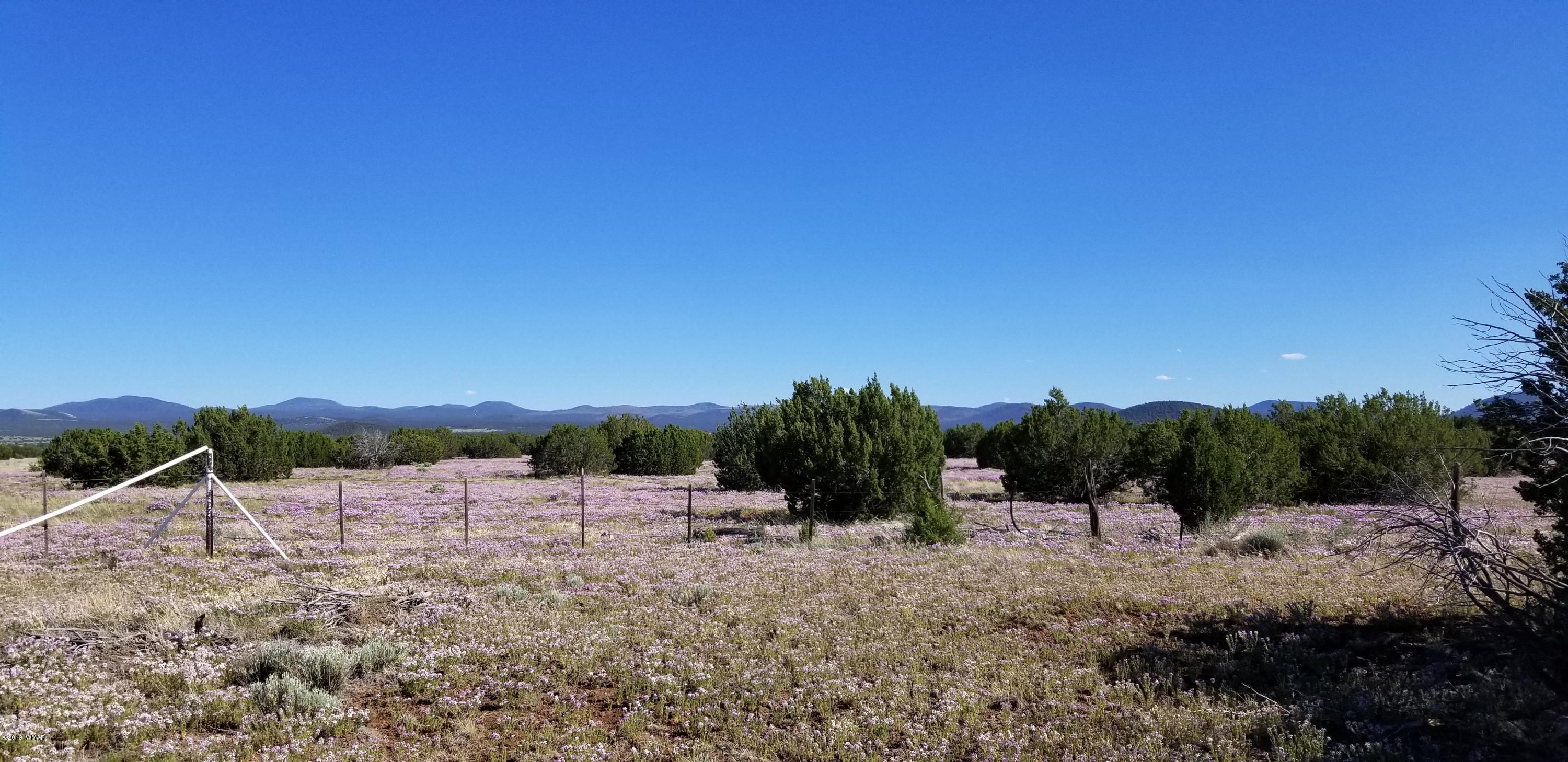 4 Southeast Sw 4 Section 4 T10n R25e Eagar, AZ 85925 - Photo 22 of 33