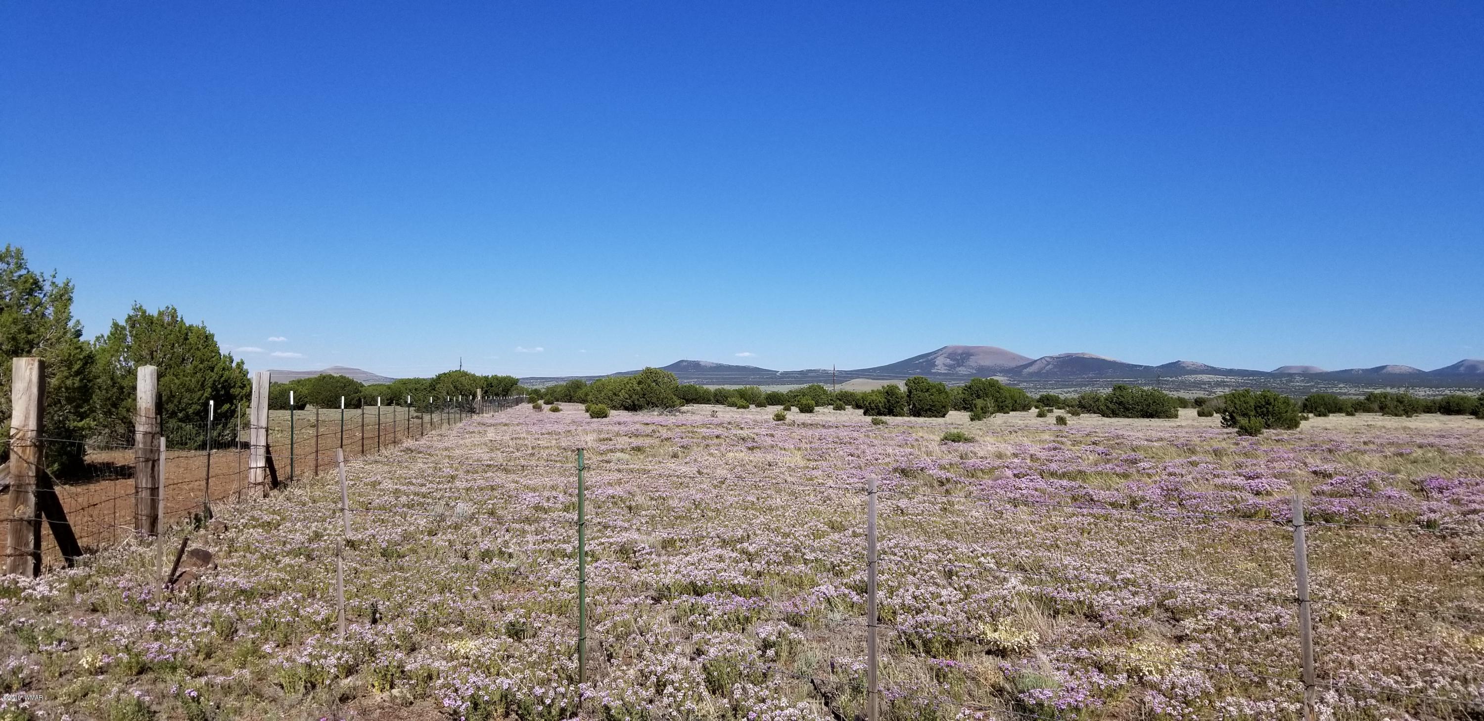 4 Southeast Sw 4 Section 4 T10n R25e Eagar, AZ 85925 - Photo 23 of 33