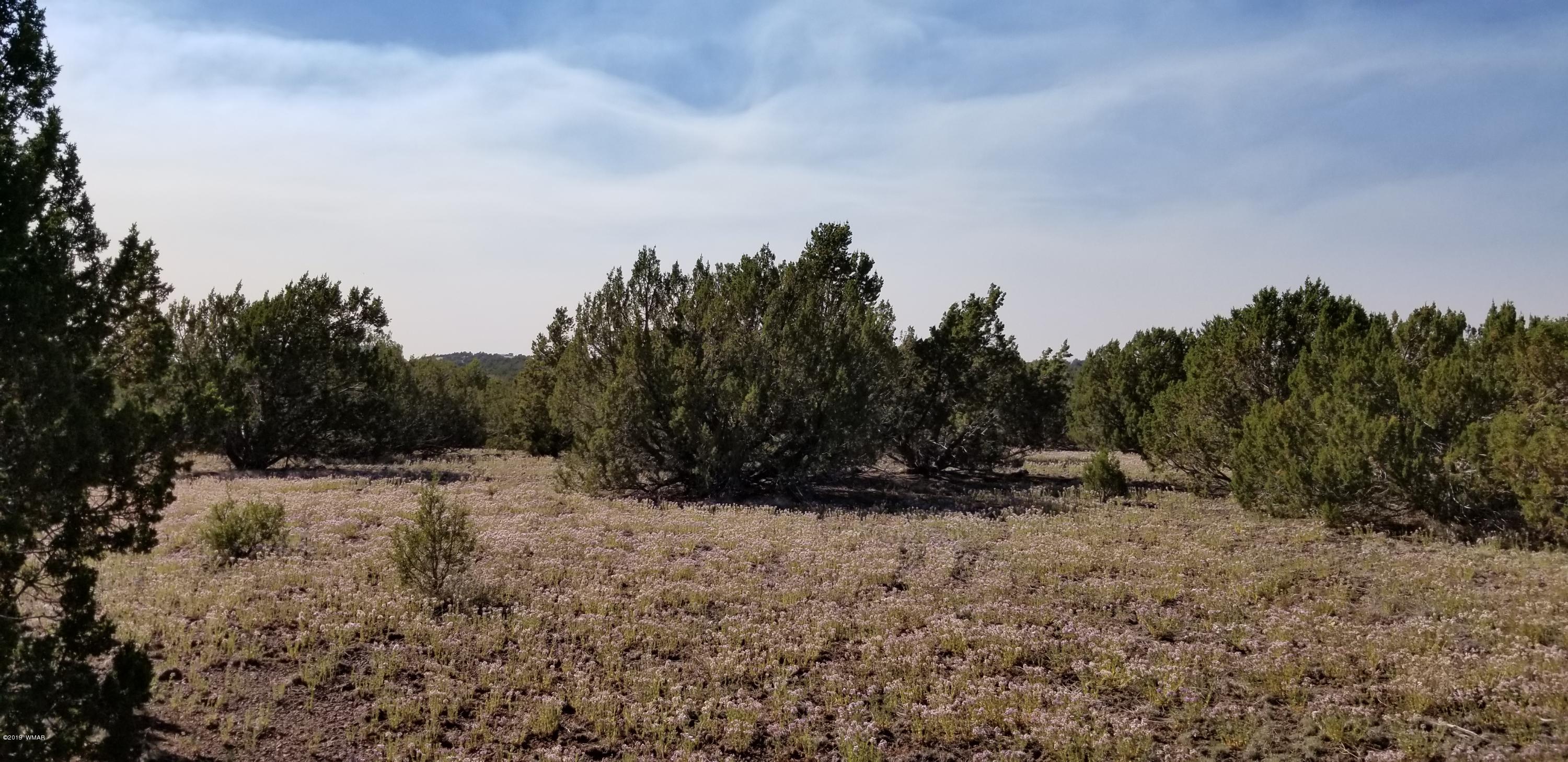 4 Southeast Sw 4 Section 4 T10n R25e Eagar, AZ 85925 - Photo 24 of 33