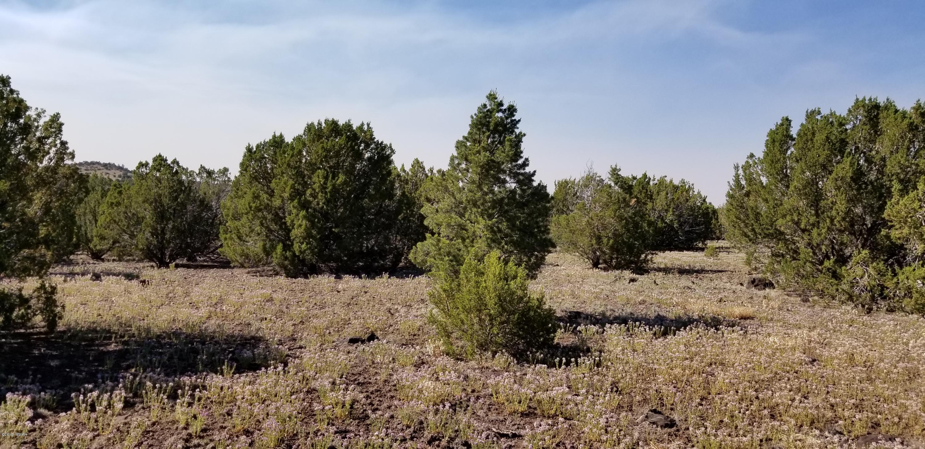 4 Southeast Sw 4 Section 4 T10n R25e Eagar, AZ 85925 - Photo 25 of 33