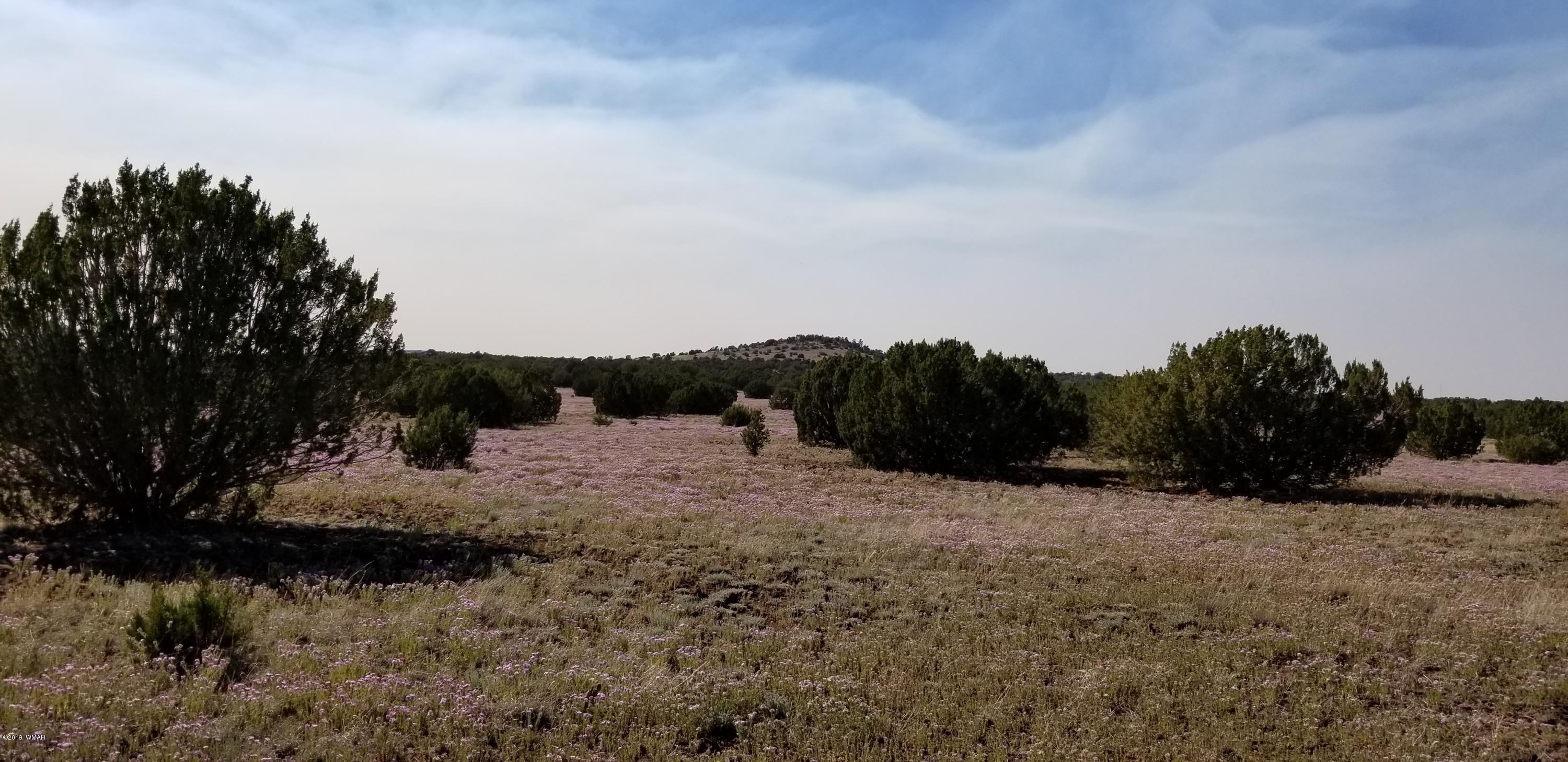 4 Southeast Sw 4 Section 4 T10n R25e Eagar, AZ 85925 - Photo 26 of 33
