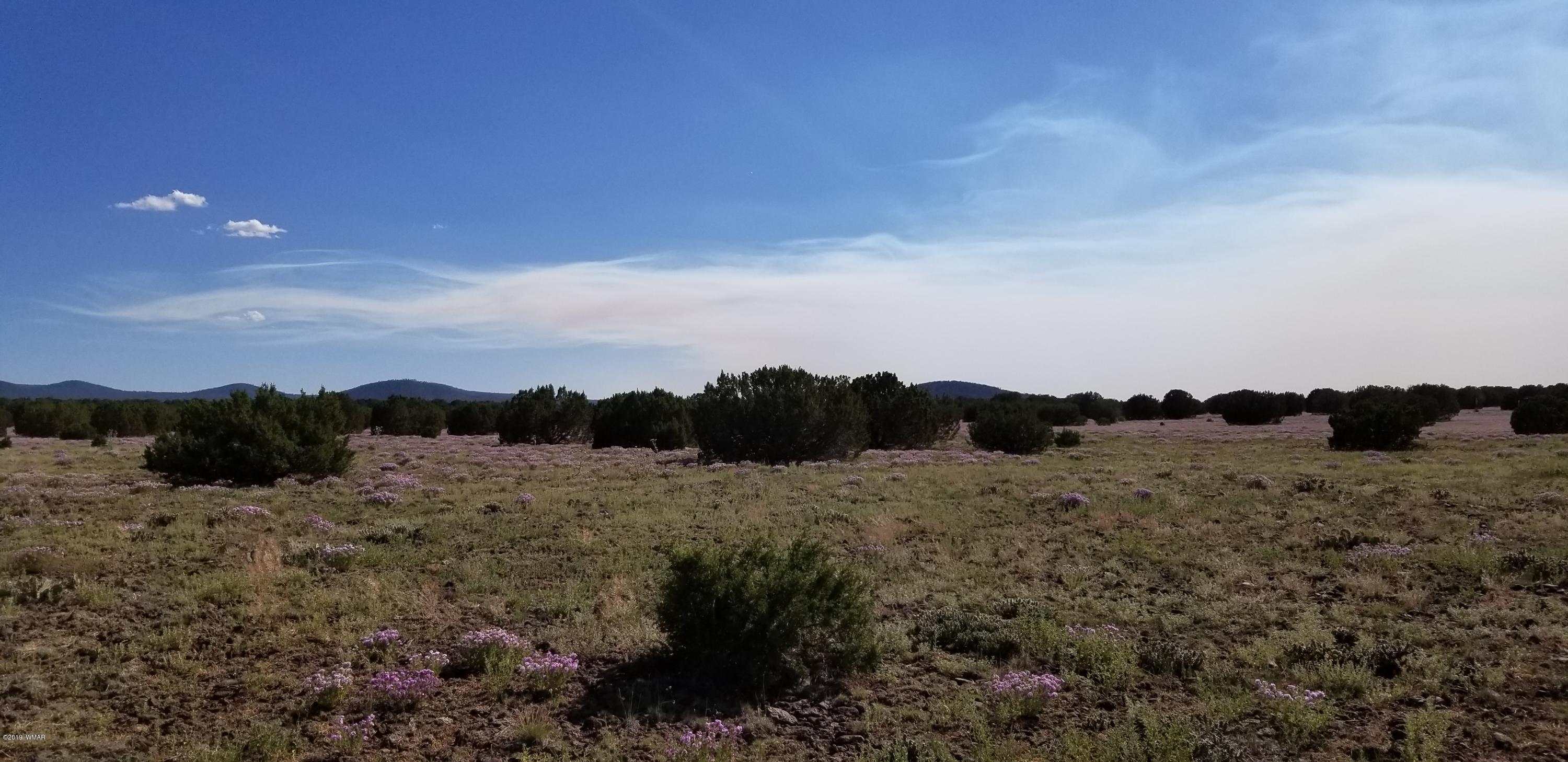 4 Southeast Sw 4 Section 4 T10n R25e Eagar, AZ 85925 - Photo 28 of 33