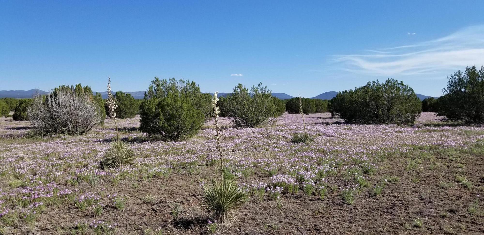 4 Southeast Sw 4 Section 4 T10n R25e Eagar, AZ 85925 - Photo 3 of 33