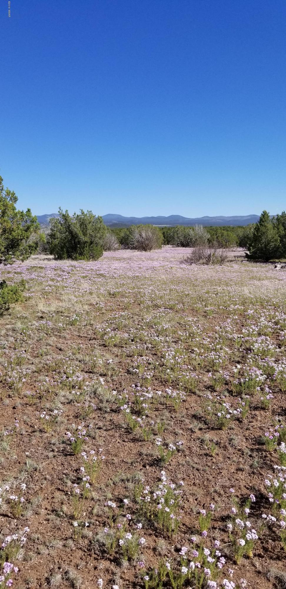 4 Southeast Sw 4 Section 4 T10n R25e Eagar, AZ 85925 - Photo 6 of 33