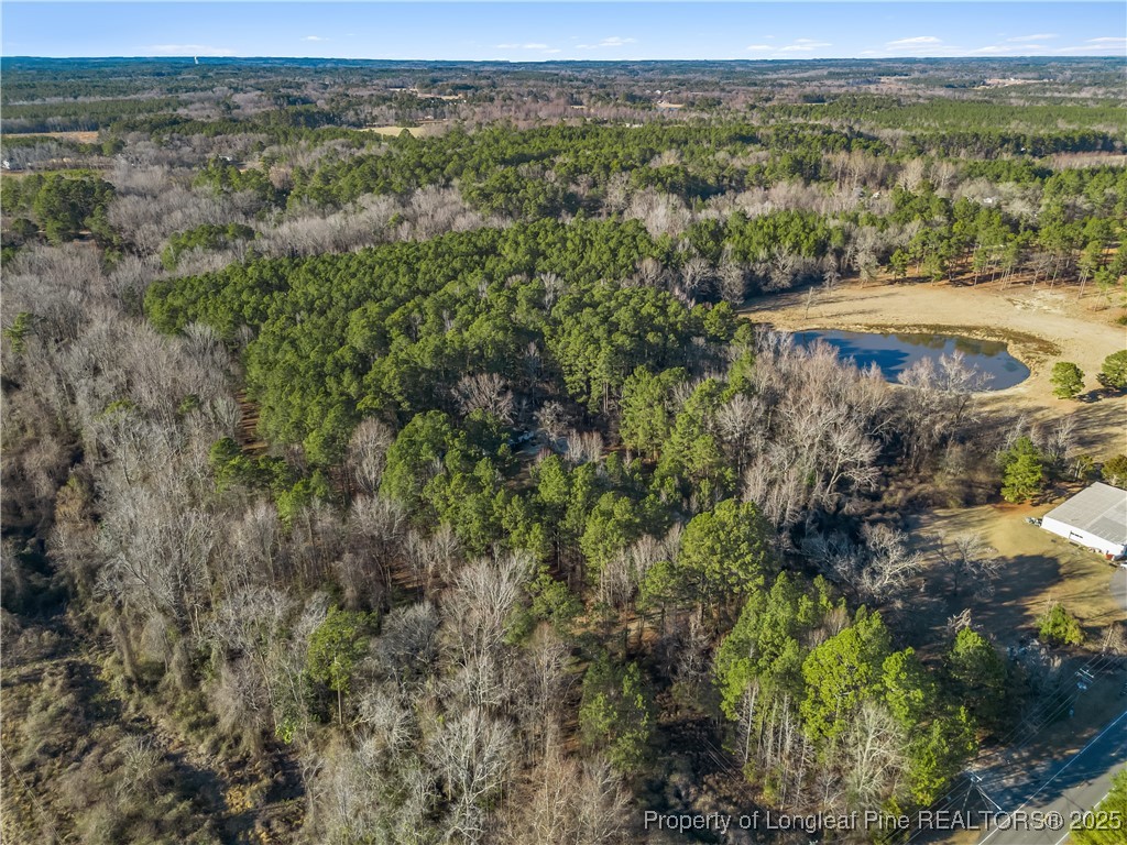 Tbd Tbd Us-1 Highway Carthage, NC 28327 - Photo 8 of 13 a view of a lake with a mountain